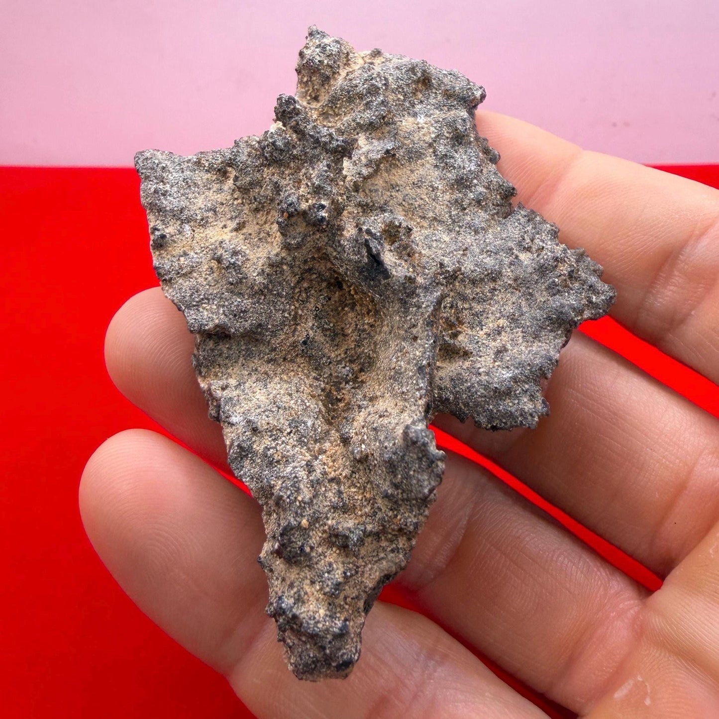 Sahara Desert Fulgurite: Fossilized Lightning Rock, Energy Work, 17.90 grams