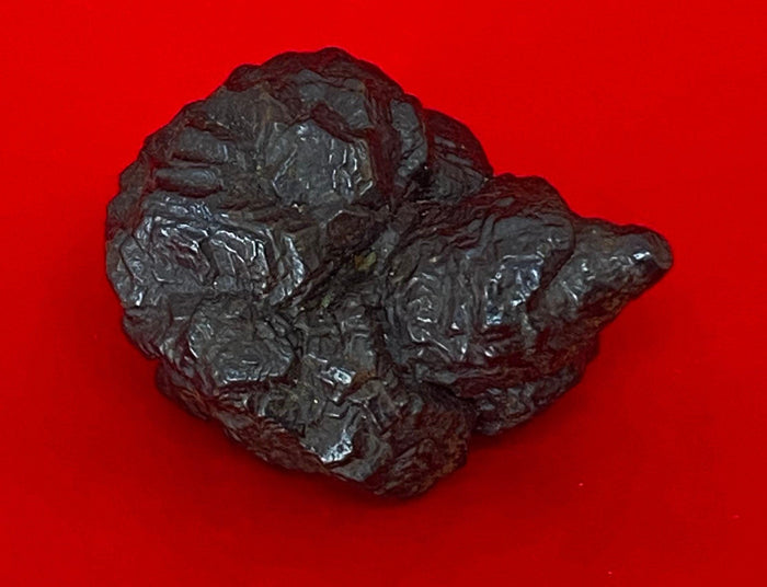 Rare Egyptian Prophecy Stone: Conch Shell Shape, 76.31 grams