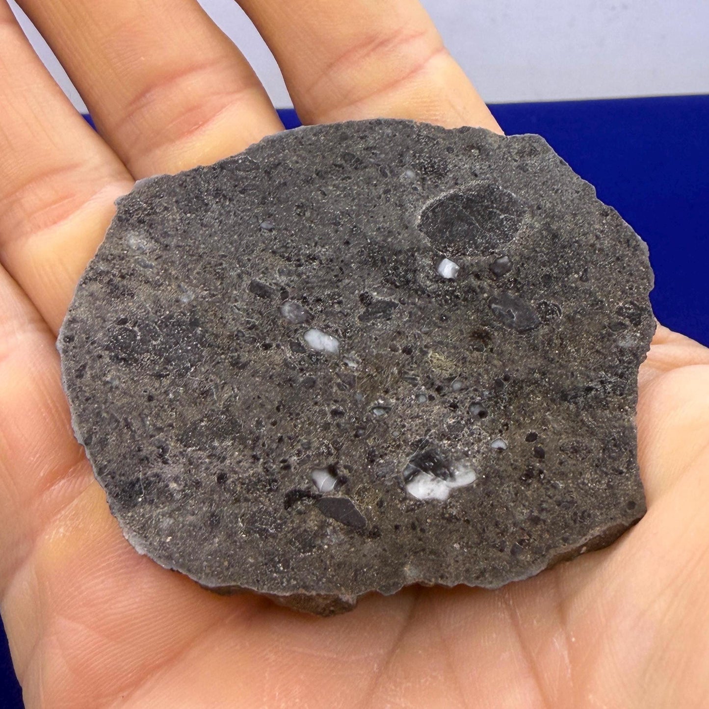 Ash Shaqqah 002 Lunar Meteorite | Moon Rock 20.19 Troctolite