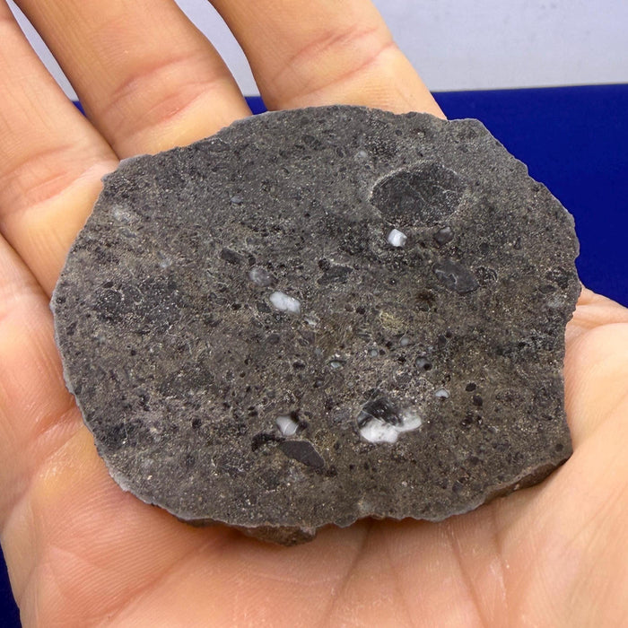 Ash Shaqqah 002 Lunar Meteorite | Moon Rock 20.19 Troctolite