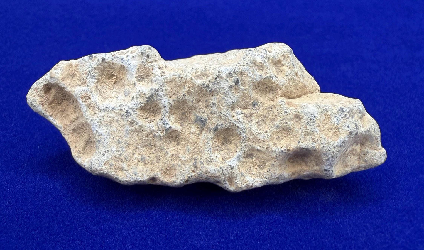 Tisserlitine 003 Lunar Meteorite: Feldspathic Breccia Moon Rock, 24.59 grams