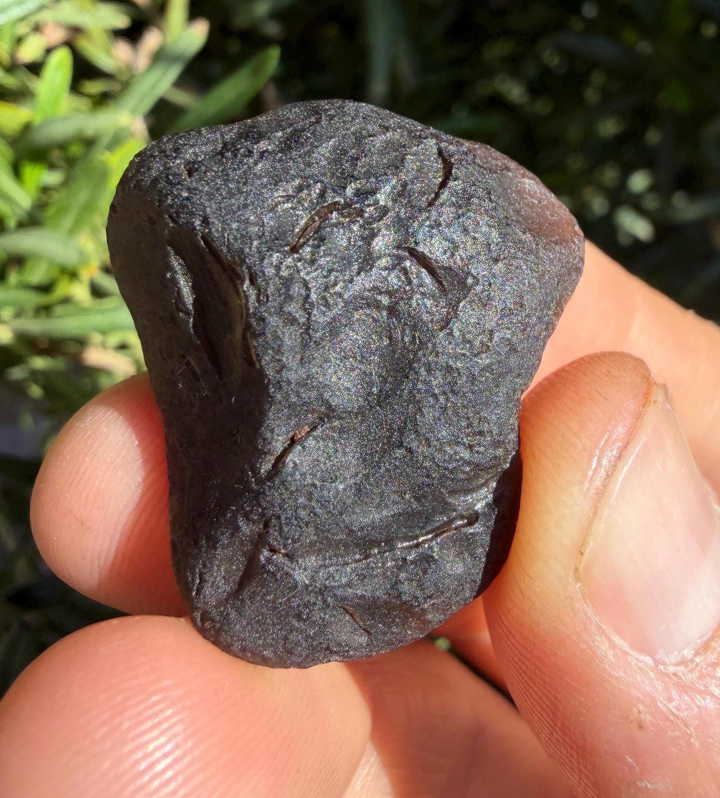 Saffordite Stone: Rare Cintamani, Arizona Pseudo-Tektite -15.66 Grams