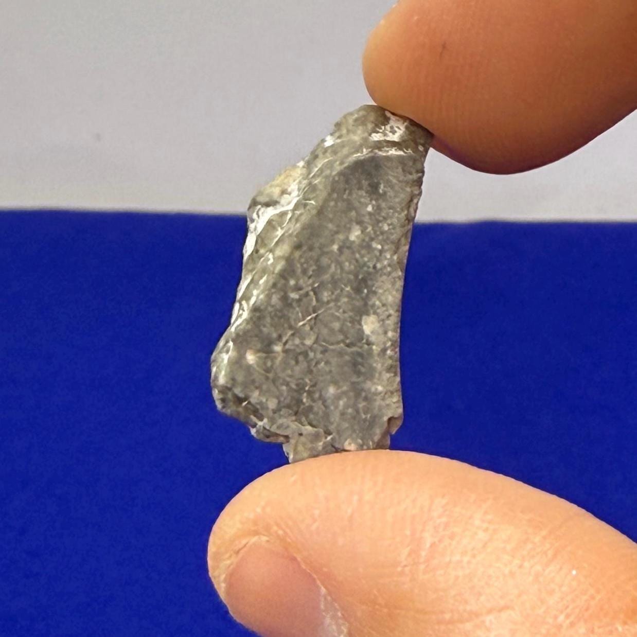 Polished Lunar Meteorite Slice Gadamis 003, Apollo Moon Rock, 2.70 grams