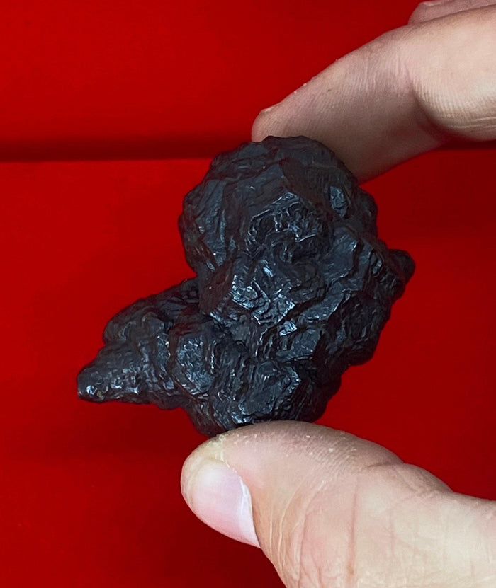 Rare Egyptian Prophecy Stone: Conch Shell Shape, 76.31 grams