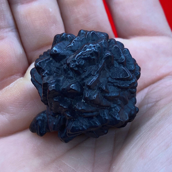 Rare Horned Prophecy Stone Cluster: Egyptian Z Stone, 58.84 grams