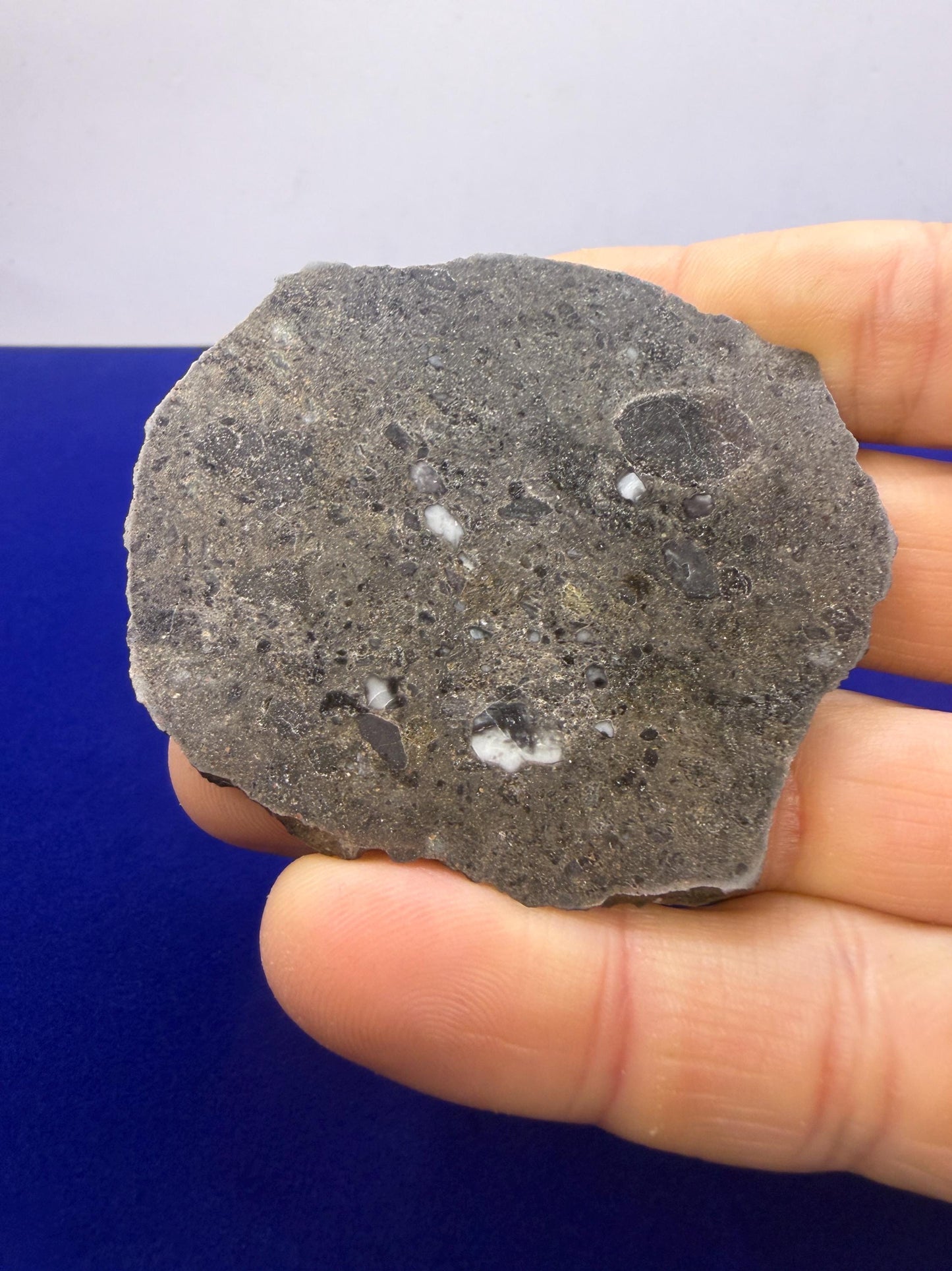 Ash Shaqqah 002 Lunar Meteorite | Moon Rock 20.19 Troctolite