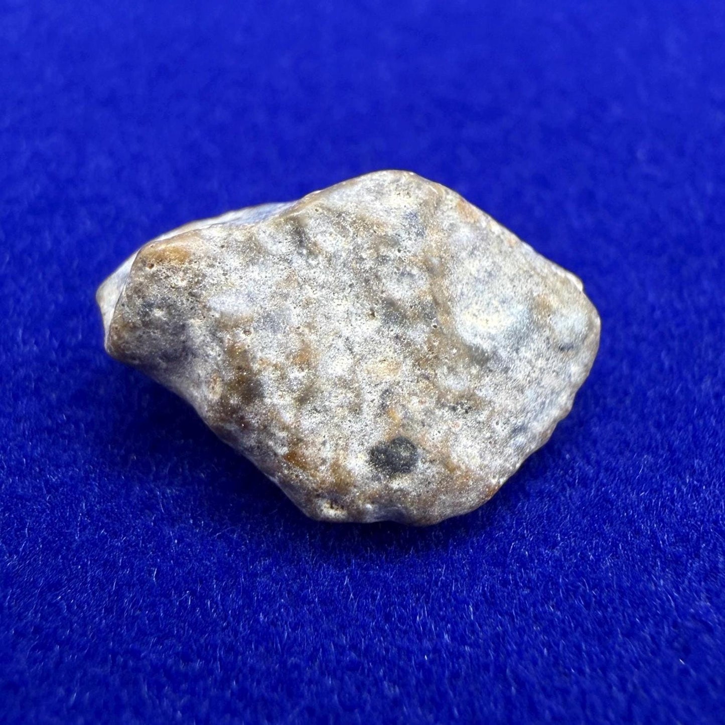 NWA 13974 Lunar Meteorite: Feldspathic Breccia, Moon Rock, 0.77 grams
