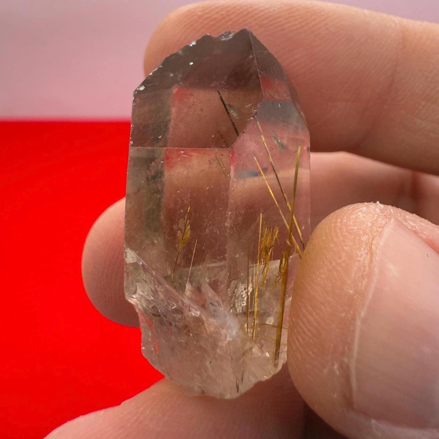 Golden Rutilated Quartz Crystal: Brazilian Fine Crystal, 12.77 grams
