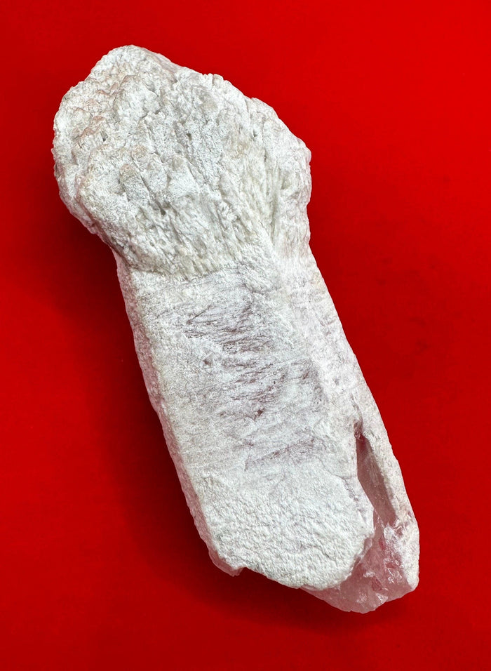 Rare Mushroom Scepter Quartz with Kaolinite Coating: Energy Work, Rare Brazilian Crystal, 140 grams