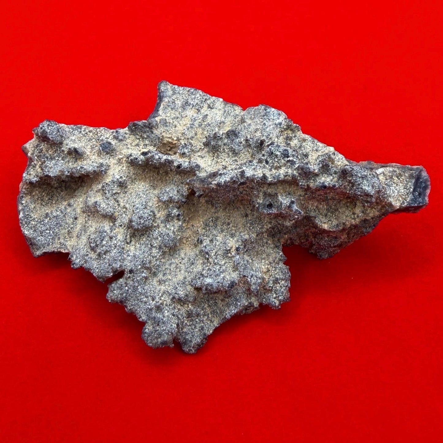 Sahara Desert Fulgurite: Fossilized Lightning Rock, Energy Work, 17.90 grams