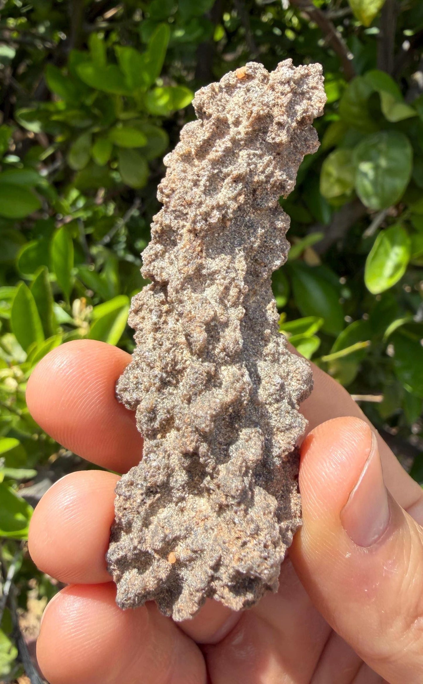 Sahara Desert Fulgurite: Lightning Glass, Fossilized Lightning, Energy Work, 12.38 grams