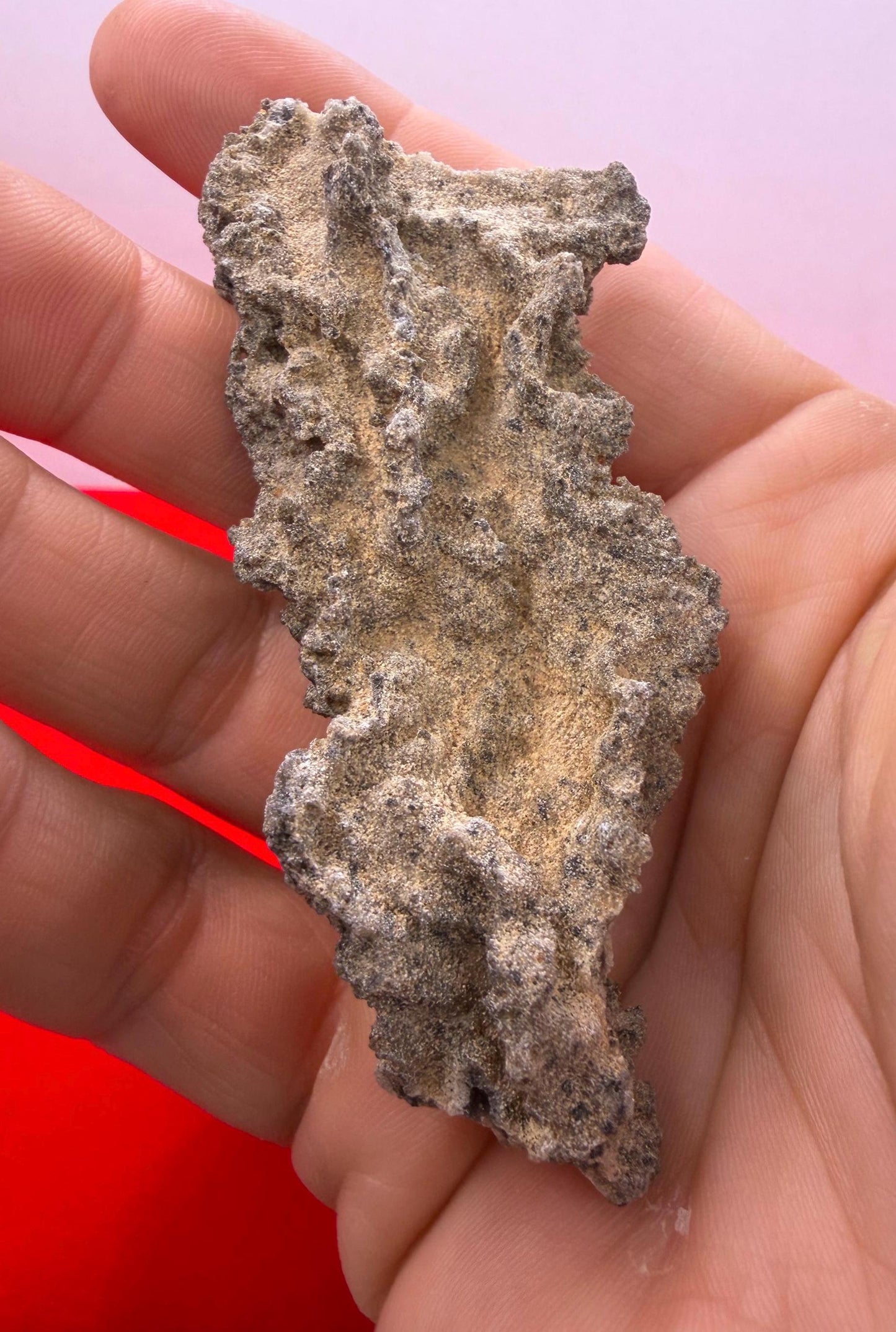 Sahara Desert Fulgurite: Lightning Glass, Fossilized Lightning, Energy Work, 10.30 grams