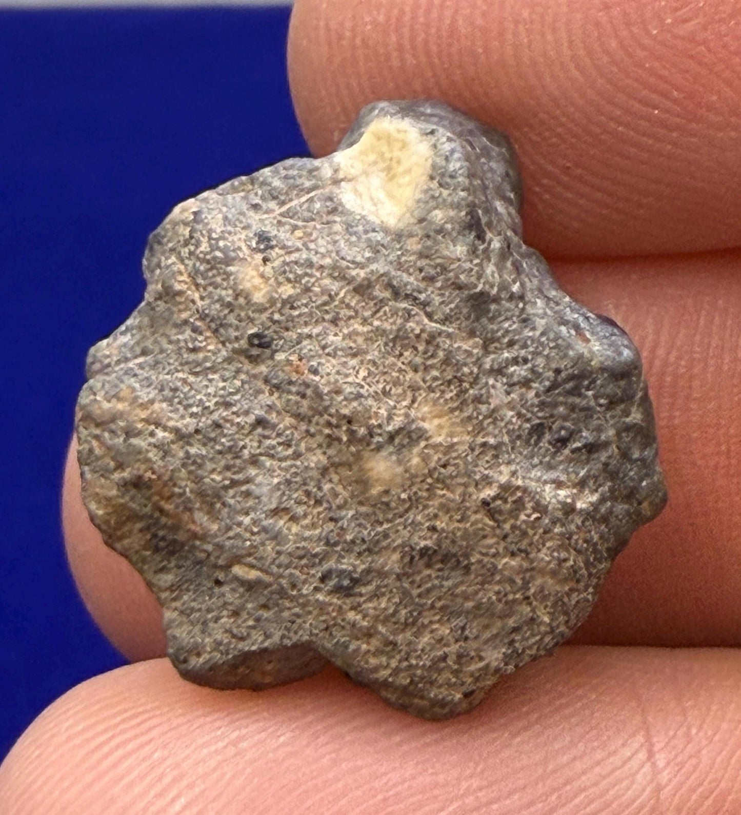 Tisserlitine 003 Lunar Meteorite: Feldspathic Breccia Moon Rock, 4.43 grams