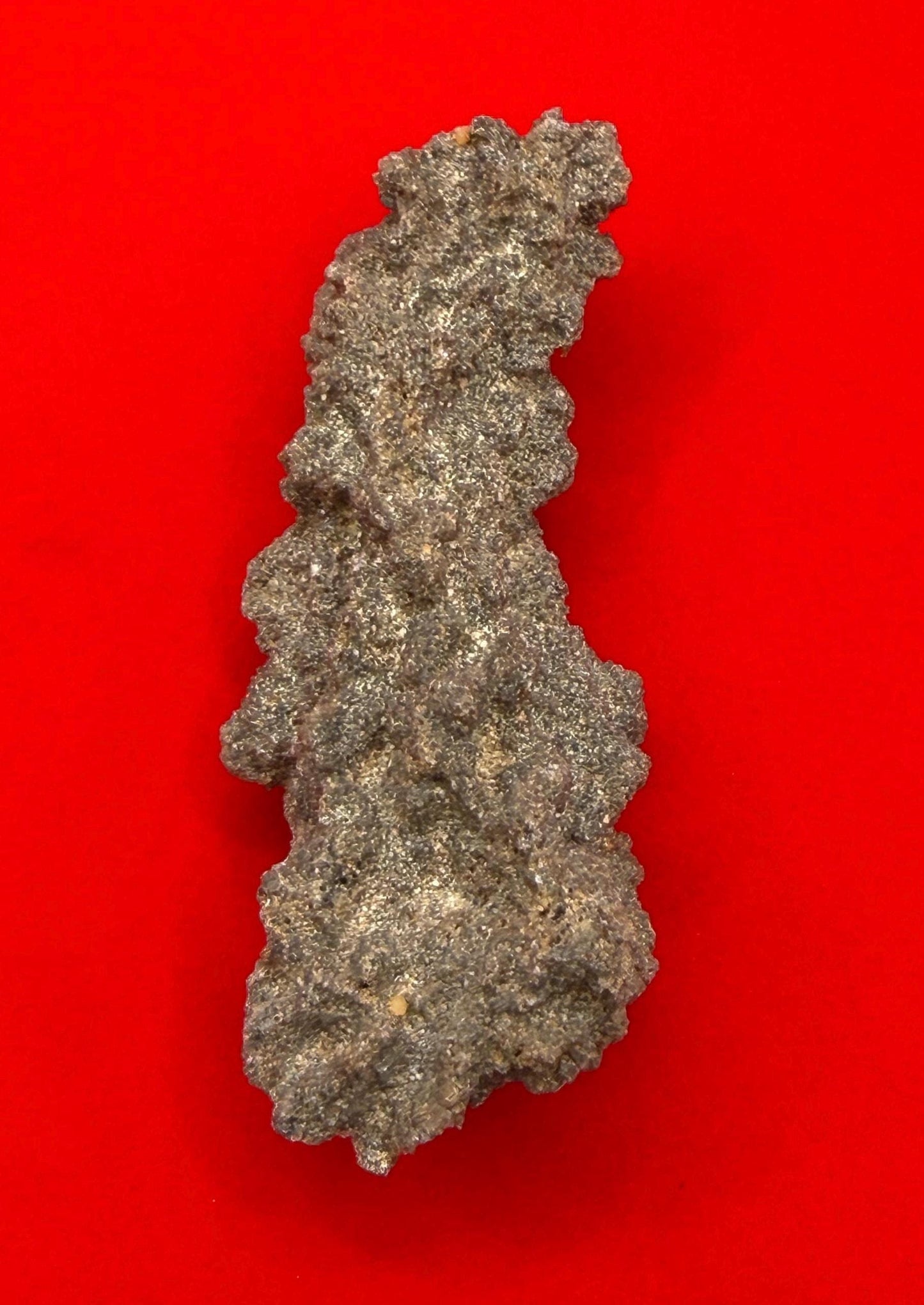 Sahara Desert Fulgurite: Lightning Glass, Fossilized Lightning, Energy Work, 12.38 grams