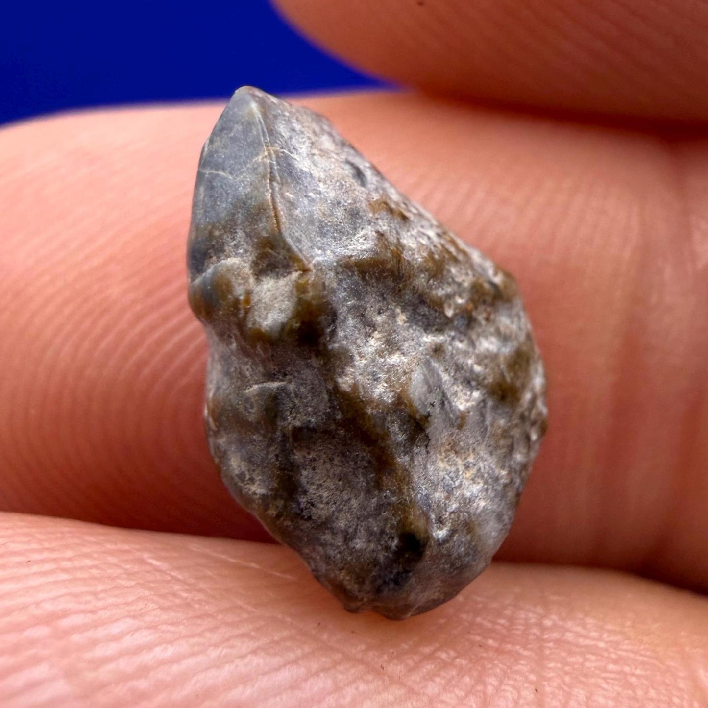 NWA 13974 Lunar Meteorite: Feldspathic Breccia, Moon Rock, 0.77 grams