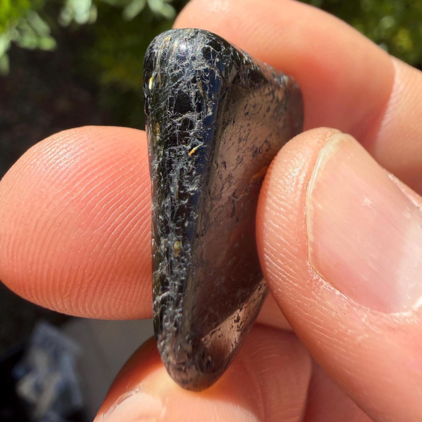 Greenland Nuummite Stone: Reiki Healing Stone, Protection Talisman, 8.53 grams