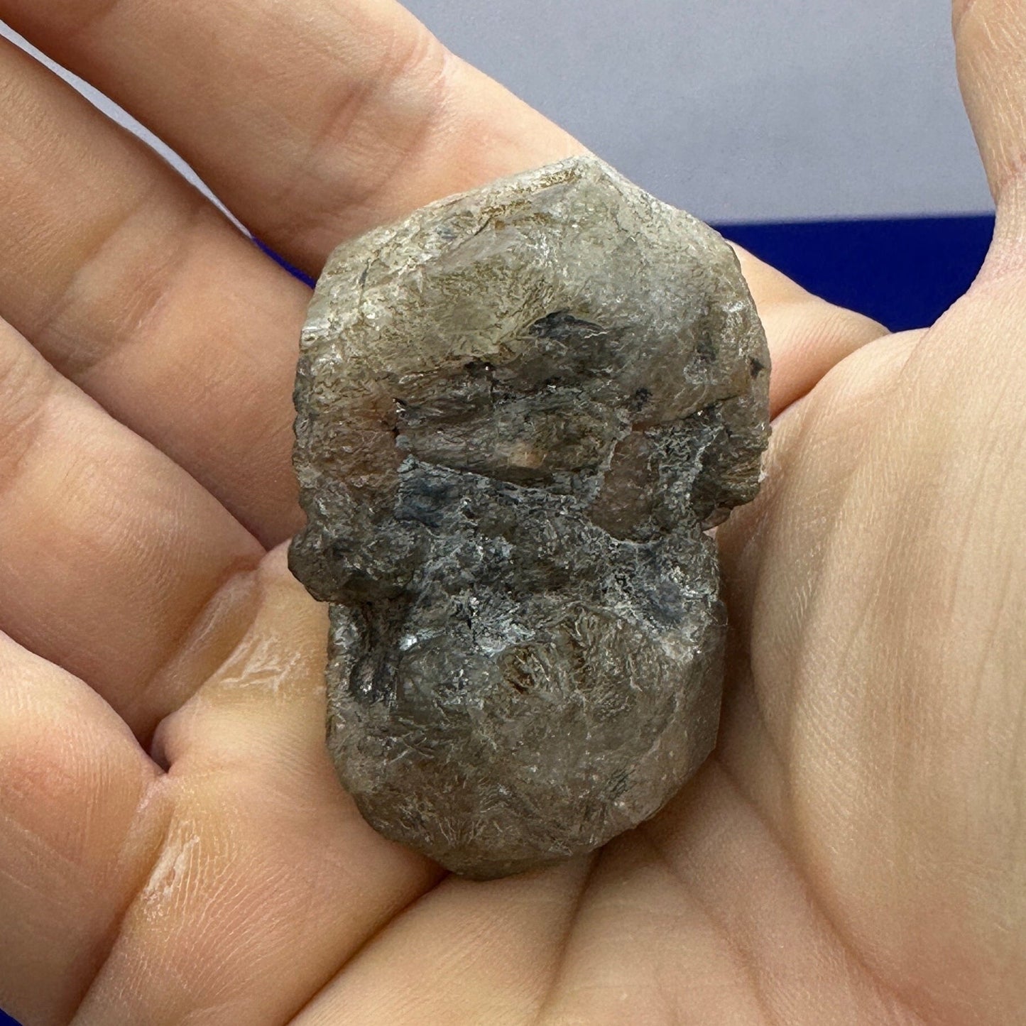 Brazilian Phenacite Crystal: Authentic, Metaphysical Crystal, 45.45/227ct