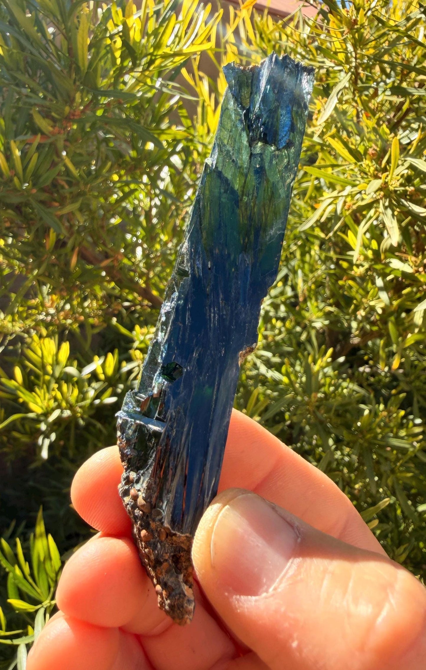 Rare Brazilian Vivianite Crystal: Reiki Energy Stone, Collector's Gem, 39.41g/197.05ct