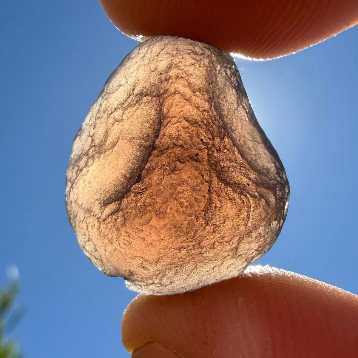 Saffordite Stone: Rare Cintamani, Arizona Tektite - 5.59 Grams