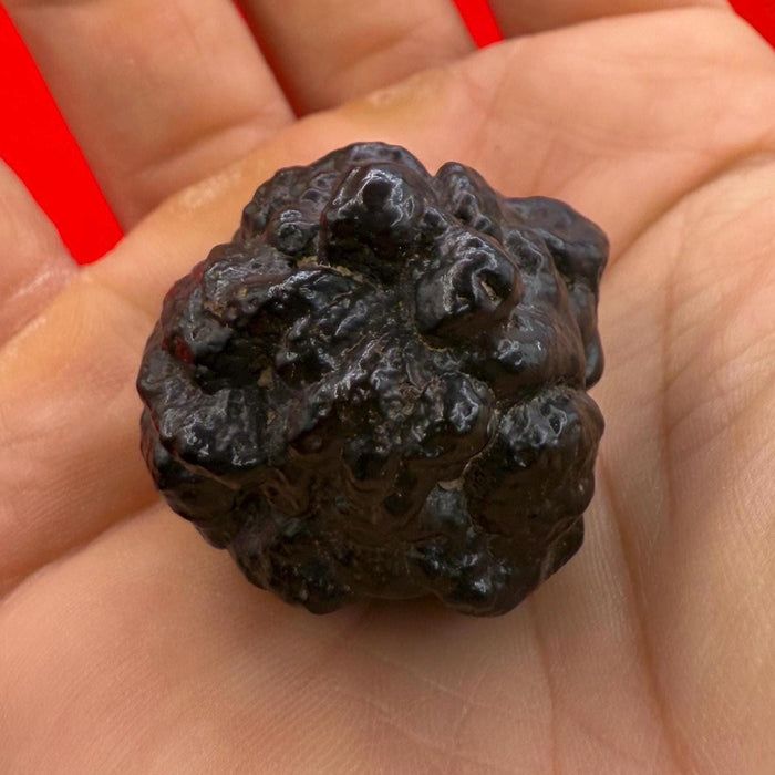 Egyptian Prophecy Stone: Abstract Z Stone for Dreamwork, Reiki, 34.63 grams