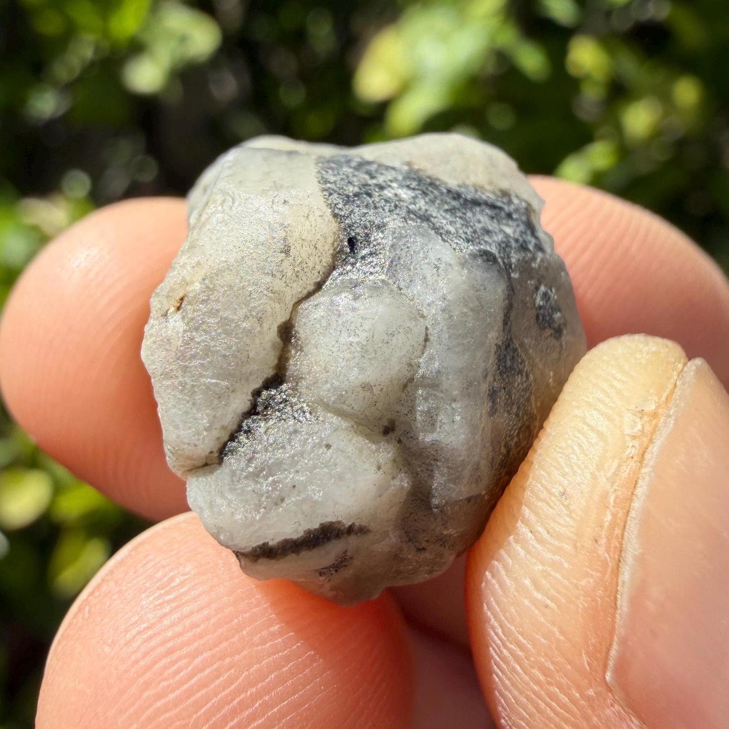 Brazilian Phenacite Crystal: High Vibration Meditation Crystal, 8.0g/40ct