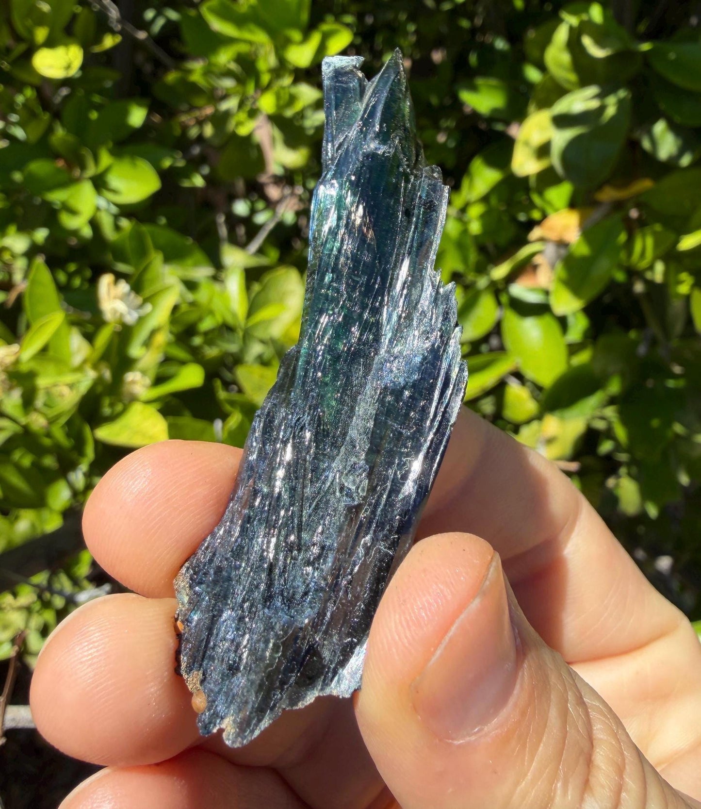 Rare Brazilian Vivianite Crystal: Reiki Energy Stone, Collector's Gem, 20.52/102.6ct