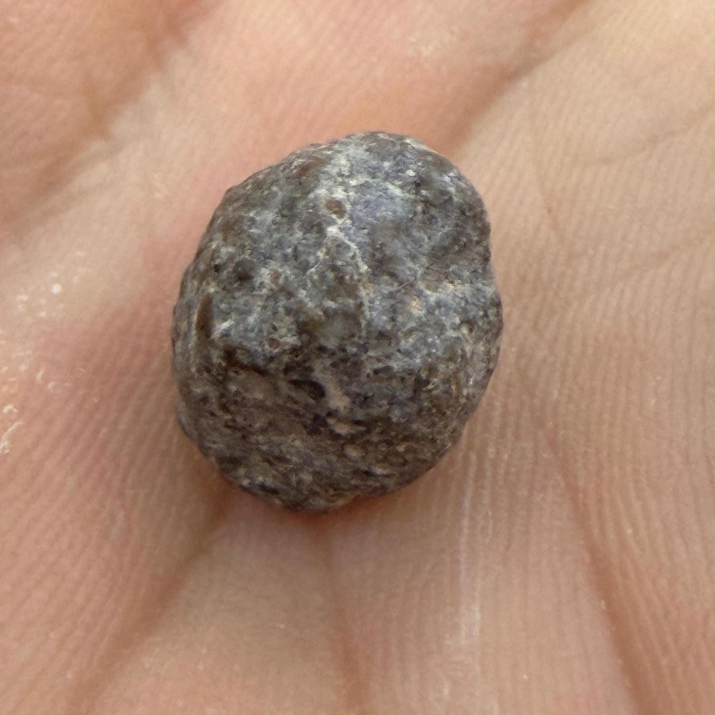 NWA 13974 Lunar Meteorite: Feldspathic Breccia, Moon Rock, 0.81 grams