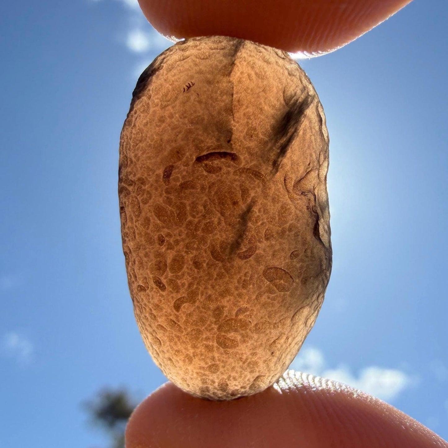 Saffordite Cintamani Specimen: Rare Arizona Pseudotektite, 7.22 grams