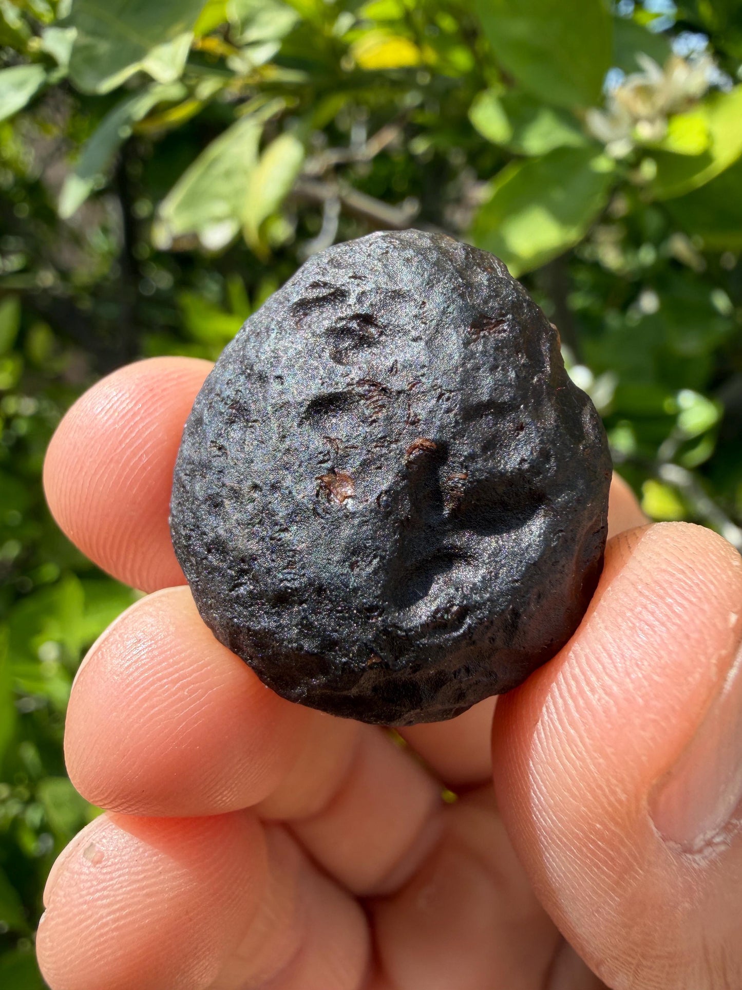 Saffordite Stone: Rare Cintamani, Arizona Pseudo-Tektite -16.28 Grams