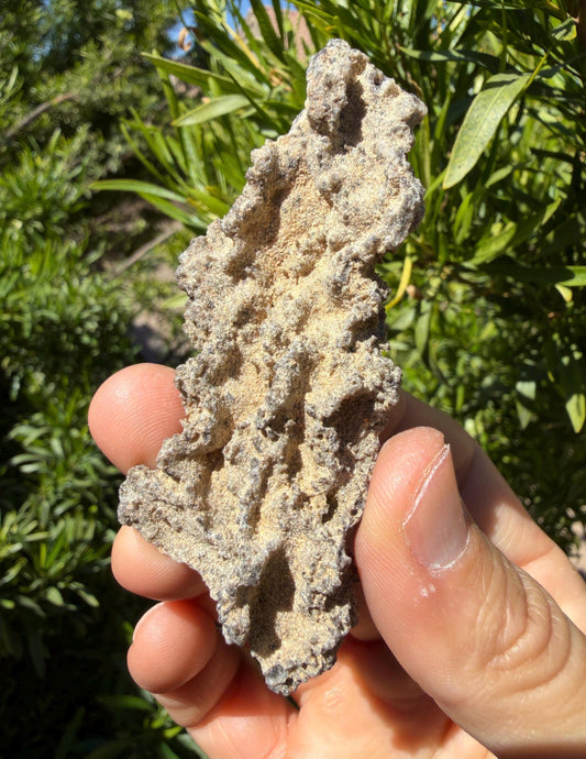 Sahara Desert Fulgurite: Lightning Glass, Fossilized Lightning, Energy Work, 10.30 grams