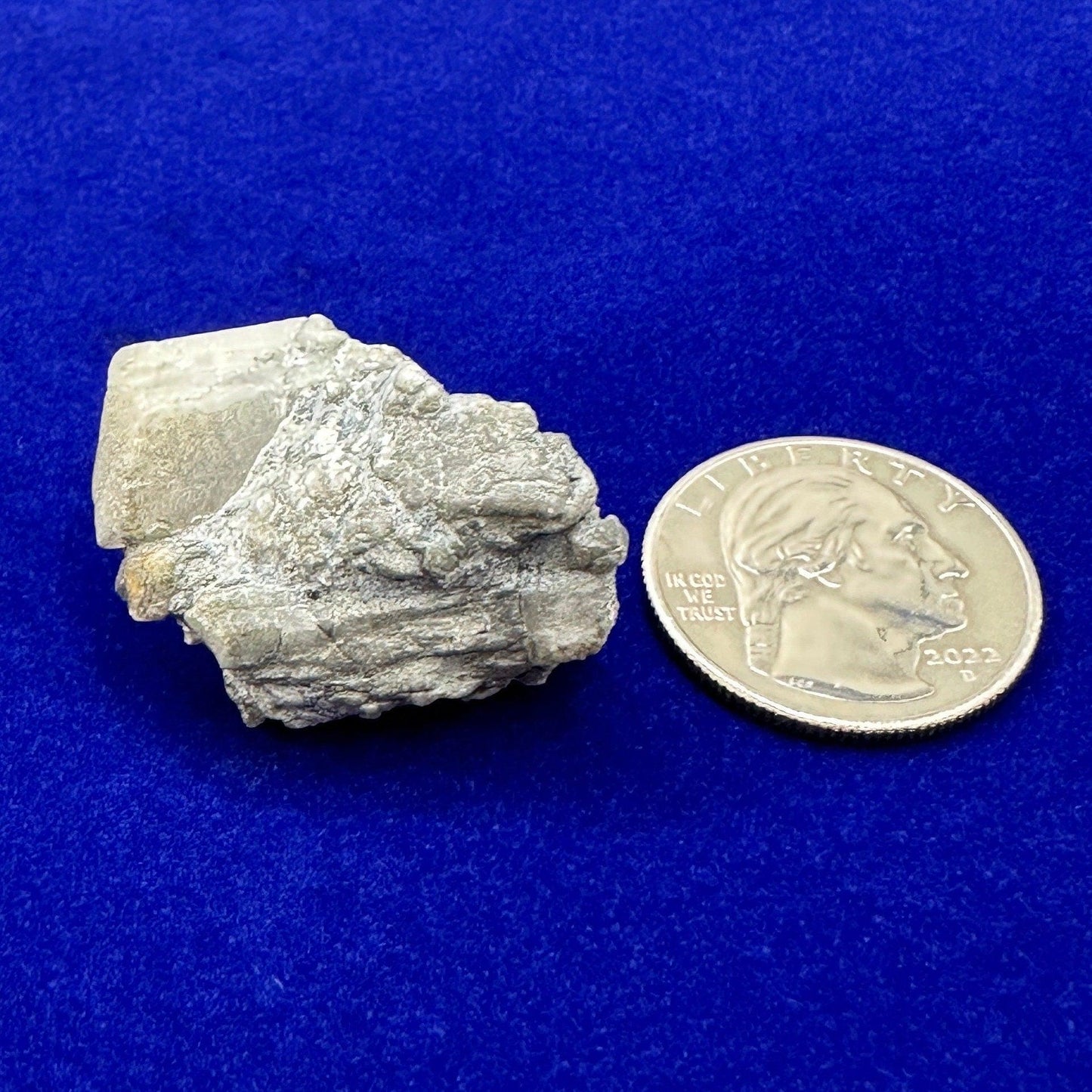 Brazilian Phenacite Crystal: Authentic Phenacite, Metaphysical Gemstone, 17.65g/88ct