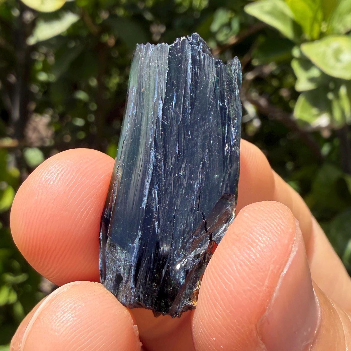 Rare Brazilian Vivianite Crystal: Reiki Energy Stone, Collector's Gem, 5.68g/28.4ct