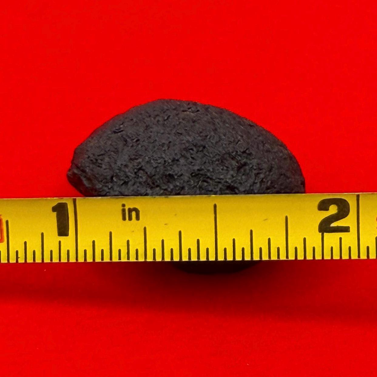 Saffordite Specimen, Cintamani Stone, Arizona Tektite (6.55 grams)