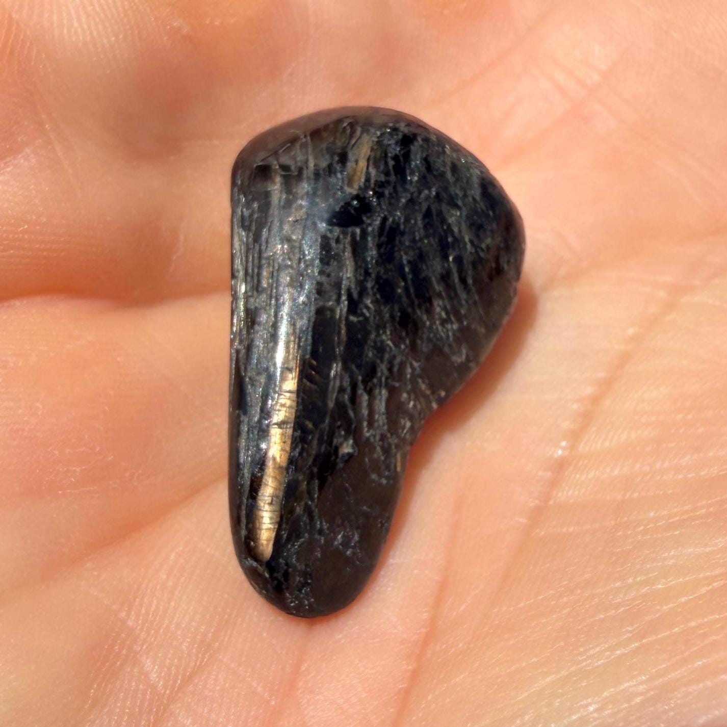 Greenland Nuummite Stone: Reiki Healing Stone, Protection Talisman, 9.17 grams