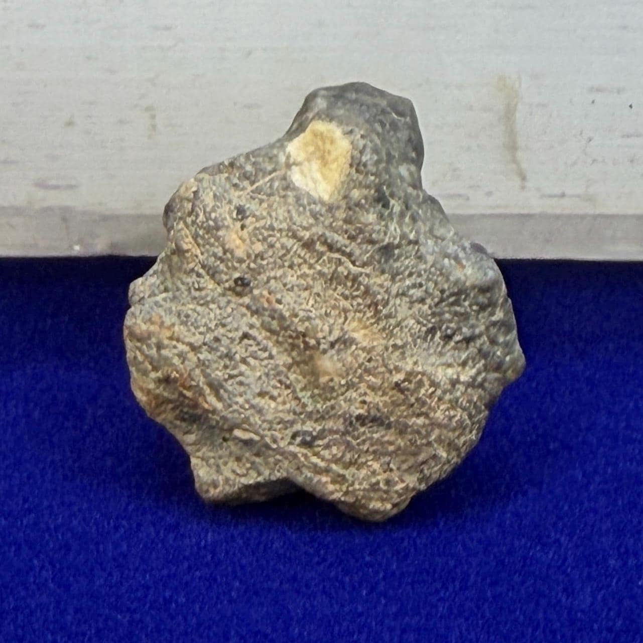 Tisserlitine 003 Lunar Meteorite: Feldspathic Breccia Moon Rock, 4.43 grams