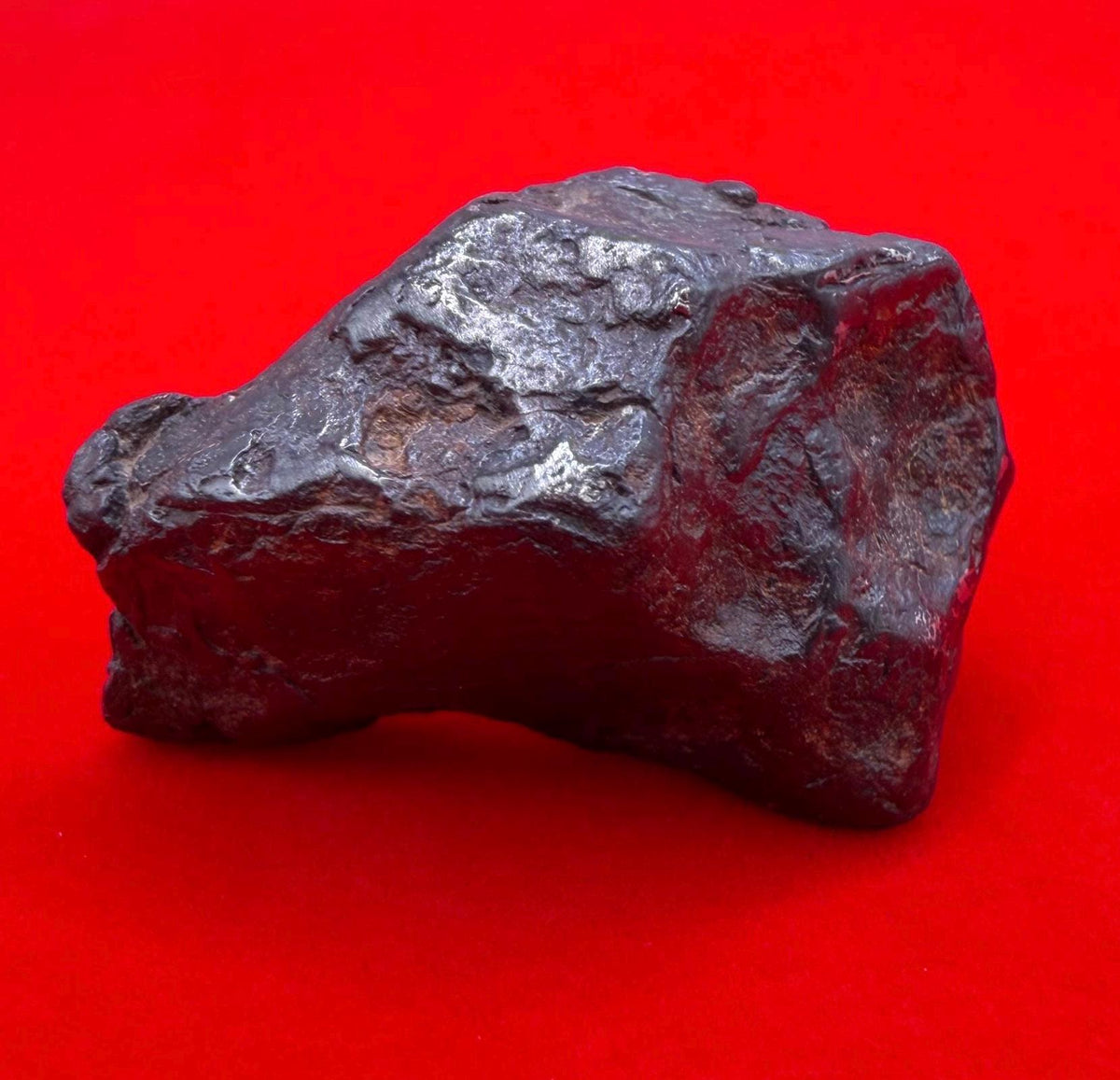 Canyon Diablo Iron Meteorite Specimen: Arizona Space Gift, Arizona, 42.23 grams