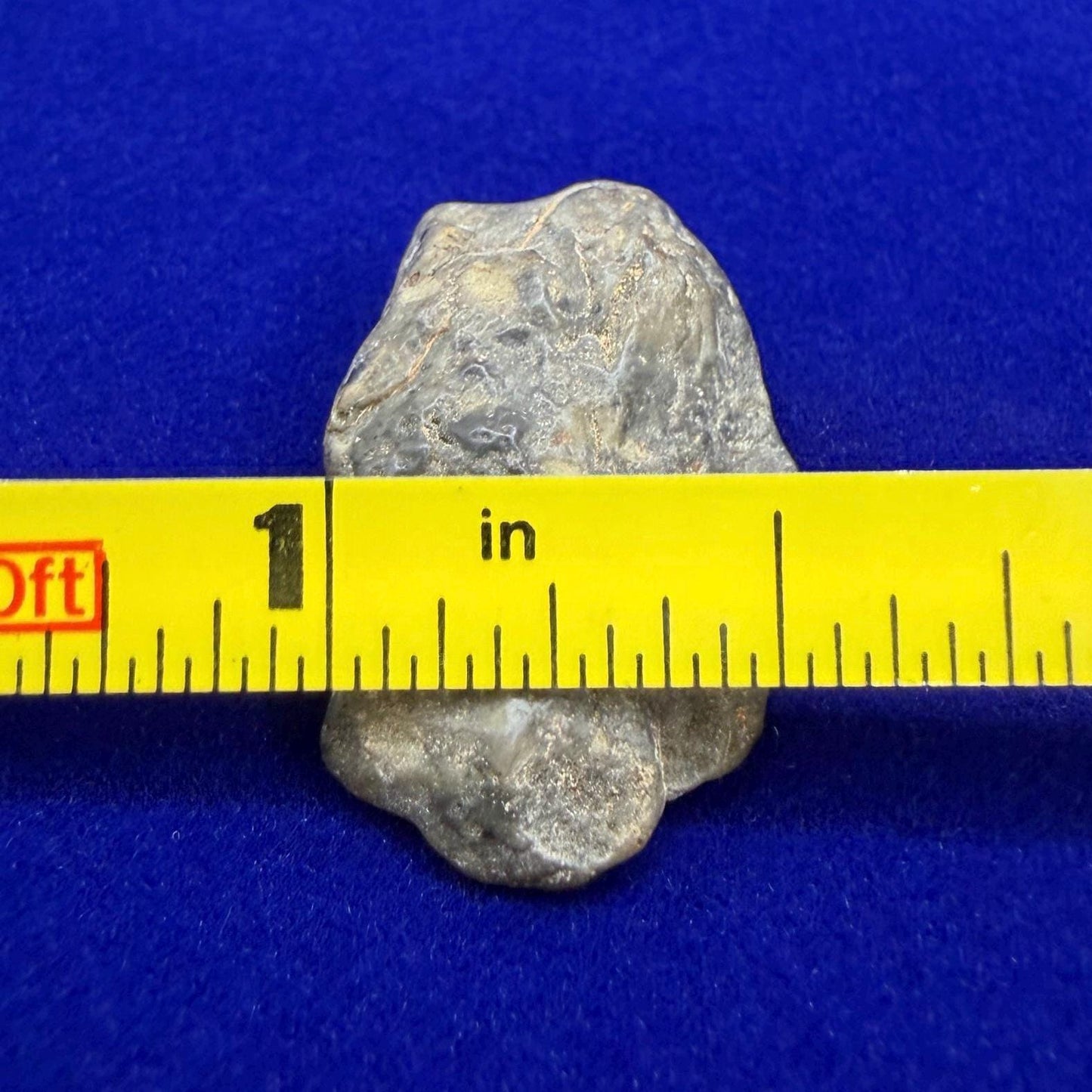 Tisserlitine 003 Lunar Meteorite: Feldspathic Breccia Moon Rock, 3.08 grams