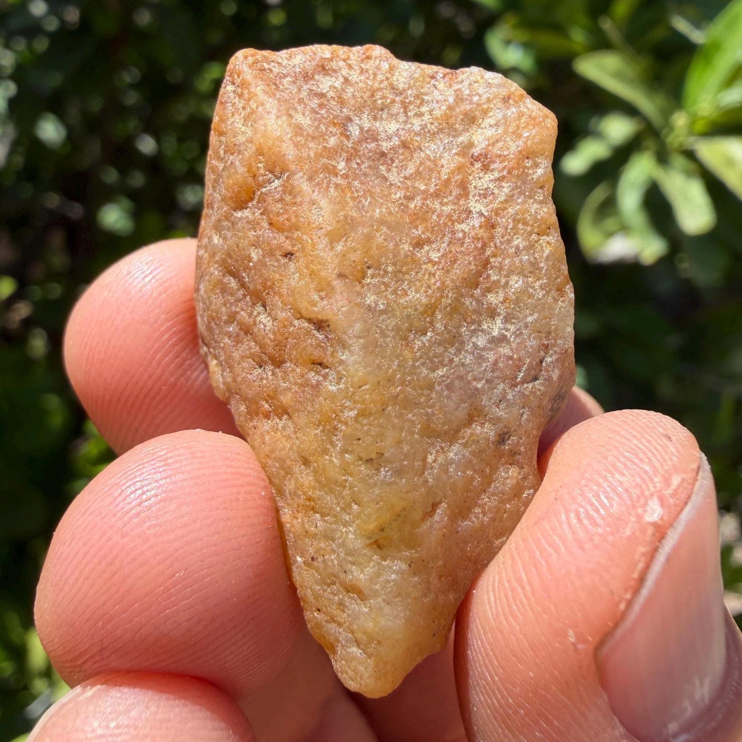 Golden Brazilian Phenacite Crystal: High-Vibration Gemstone, 10.22g/51.1ct