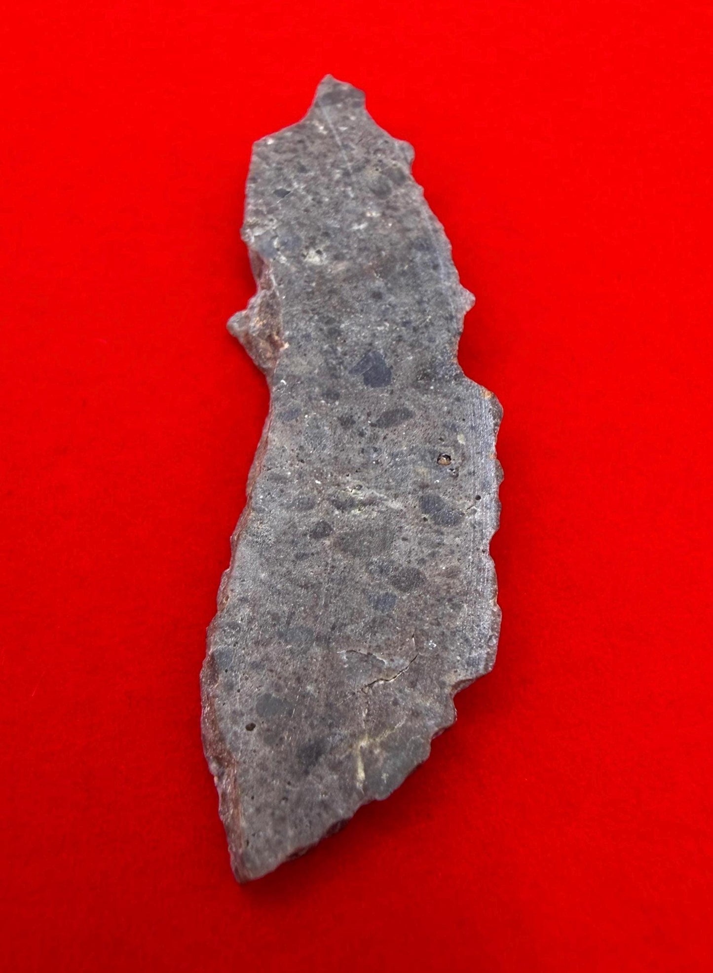 Oued el Hamim 001 Lunar Meteorite Slice, Rare Aqueously Altered Moon Rock, 1.52g