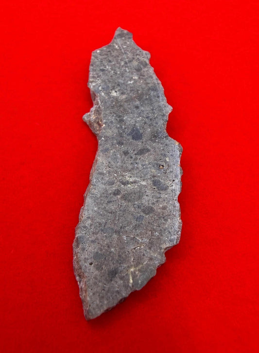Oued el Hamim 001 Lunar Meteorite Slice, Rare Aqueously Altered Moon Rock, 1.52g