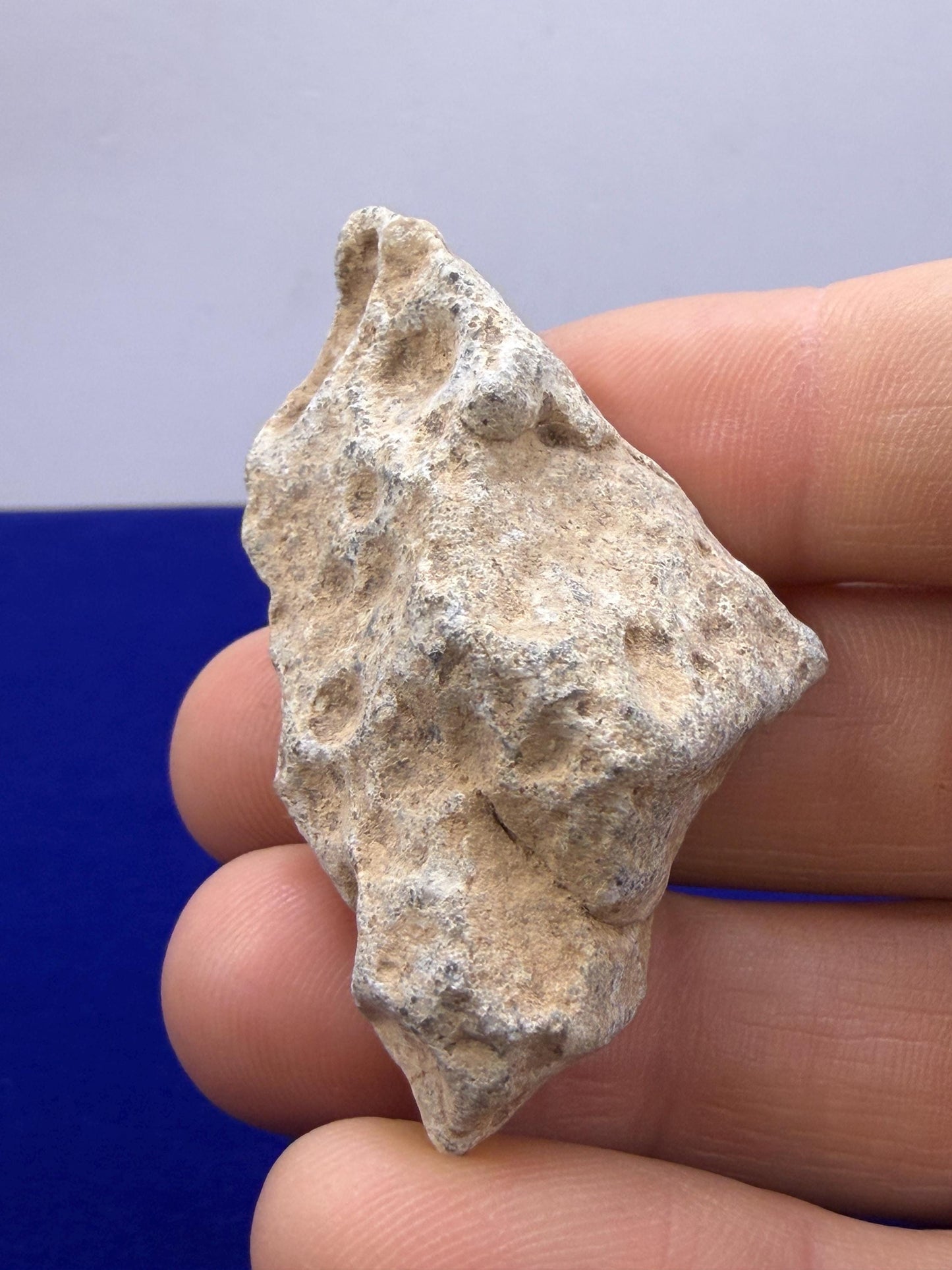 Tisserlitine 003 Lunar Meteorite: Feldspathic Breccia Moon Rock, 24.59 grams