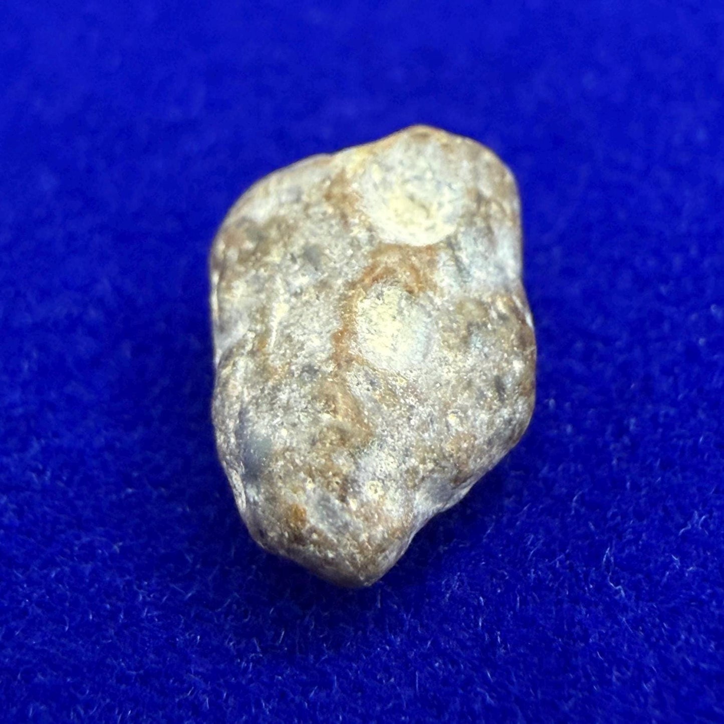 NWA 13974 Lunar Meteorite: Feldspathic Breccia, Moon Rock, 0.47 grams