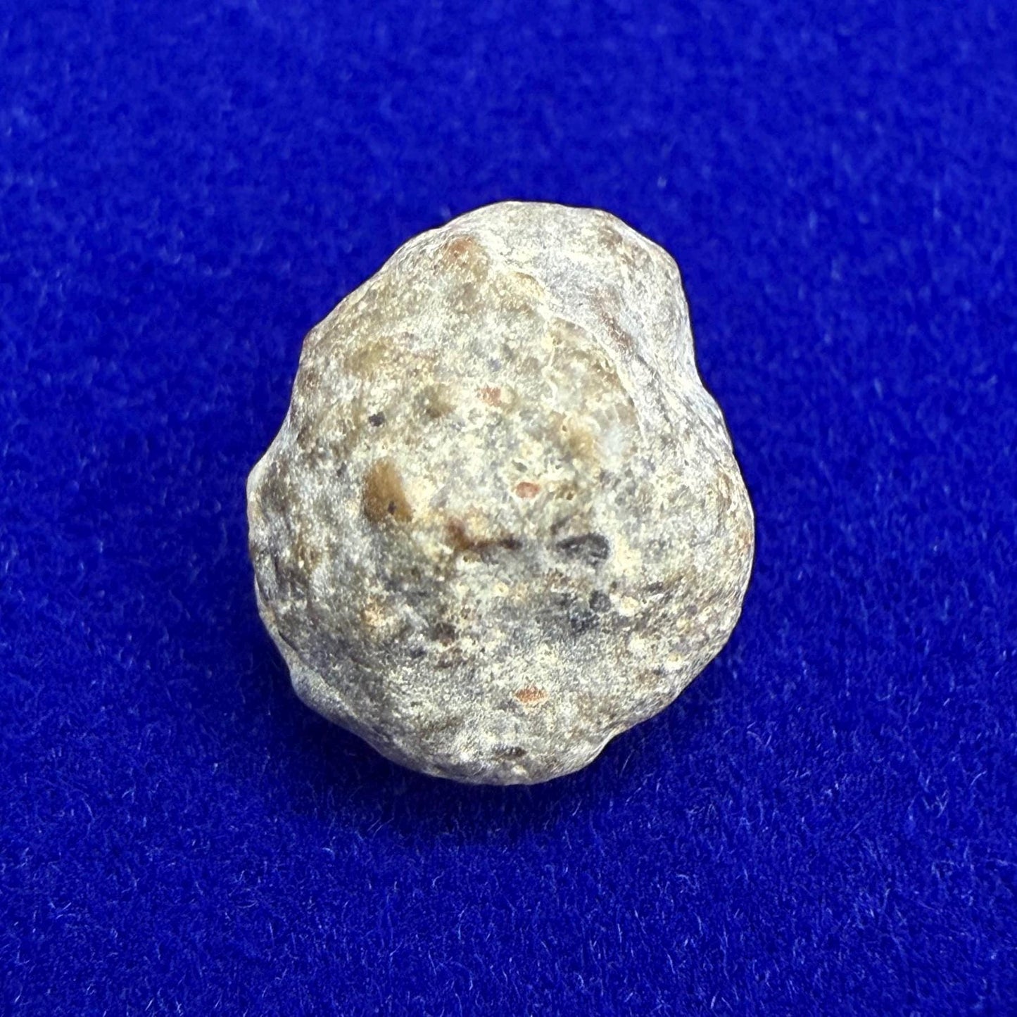 NWA 13974 Lunar Meteorite: Feldspathic Breccia, Moon Rock, 0.81 grams