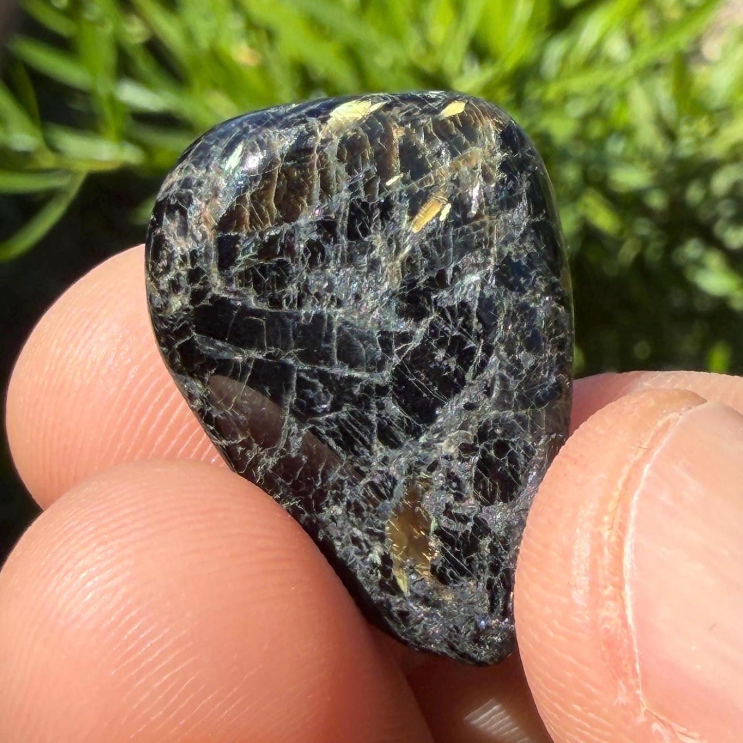Greenland Nuummite Stone: Reiki Healing Stone, Protection Talisman, 6.91 grams