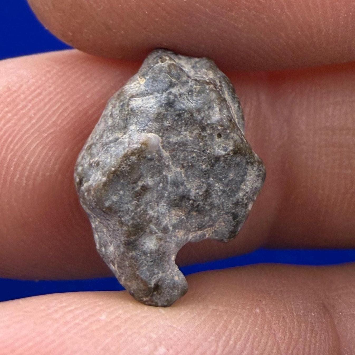 NWA 13974 Lunar Meteorite - Feldspathic Breccia, 1.56 grams