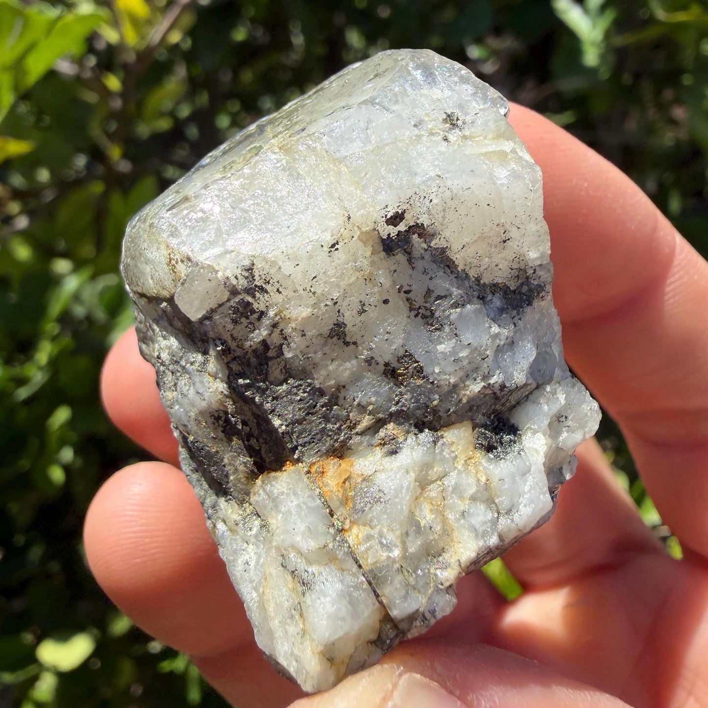 Brazilian Phenacite Crystal w/ Muscovite, Carnaíba, Brazil, 79.72g/398.6ct