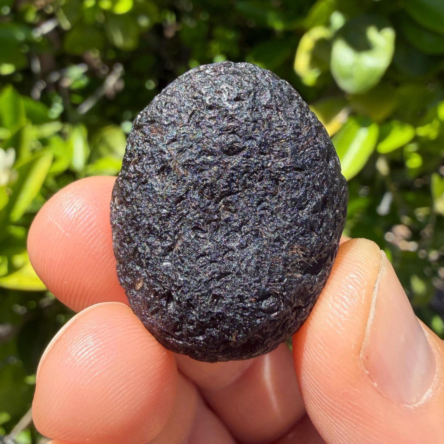 Saffordite Stone, Rare Cintamani, Arizona Tektite, 18.50 Grams