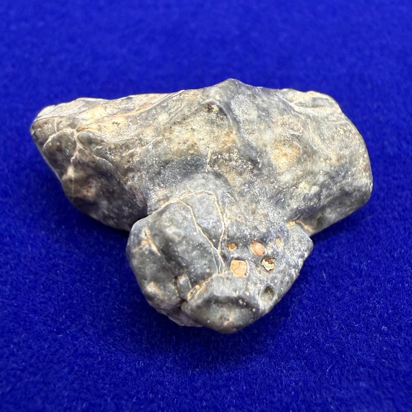 Tisserlitine 003 Lunar Meteorite: Feldspathic Breccia Moon Rock, 4.09 grams