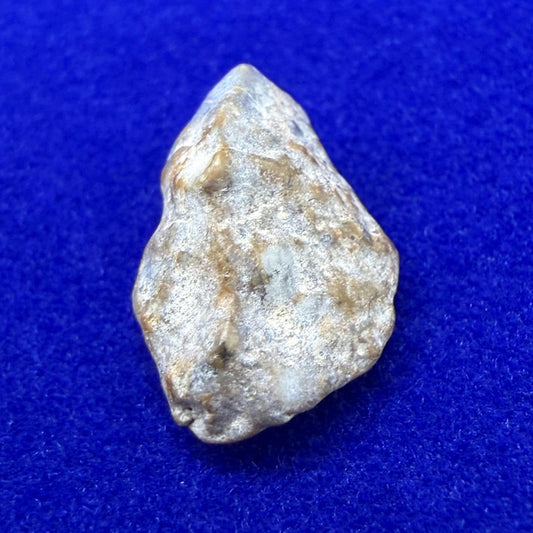 NWA 13974 Lunar Meteorite: Feldspathic Breccia, Moon Rock, 0.77 grams