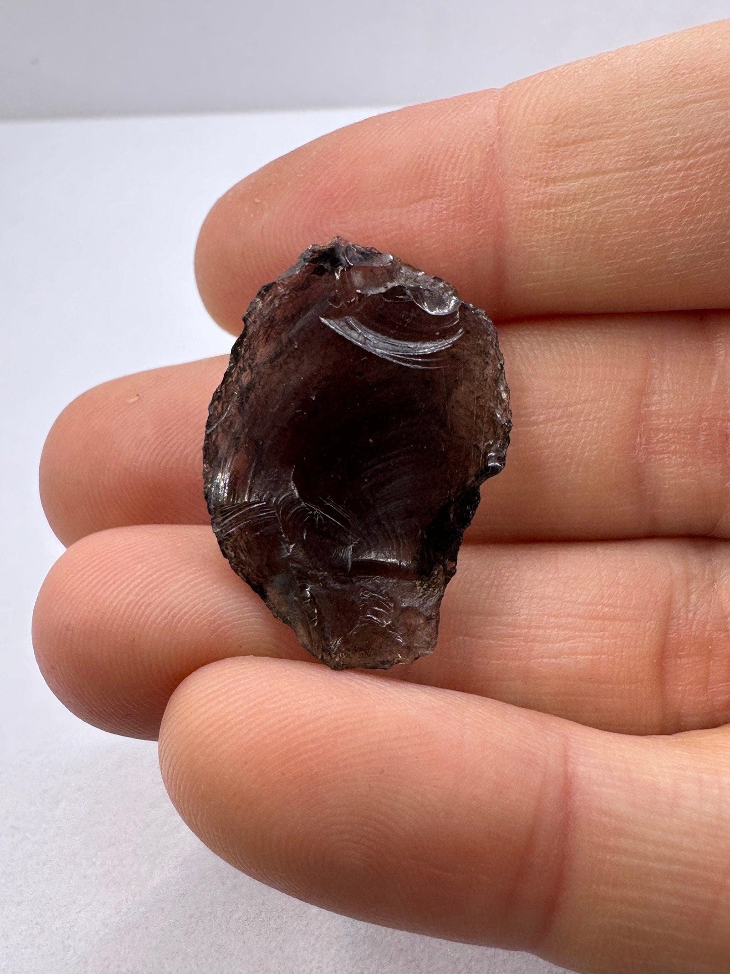 Saffordite Specimen: Rare Cintamani Stone, Arizona Pseudotektite, 4.19 grams